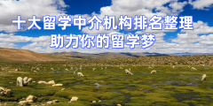 <b>2026青岛十大留学机构排名</b>